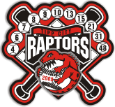 raptors baseball pin design